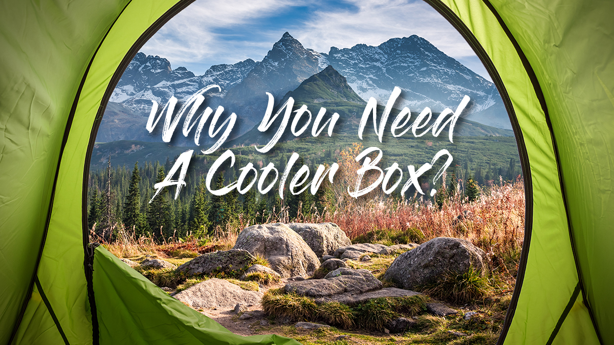 SQ Professional - 6 Reasons Why You Need A Cooler Box 